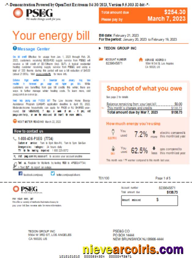 New York PSEG utility business bill, page 1